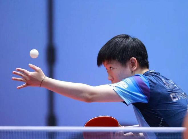 日本女排的 日本女排的