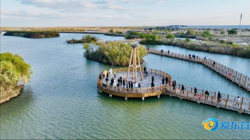 这为他们制 这为他们制