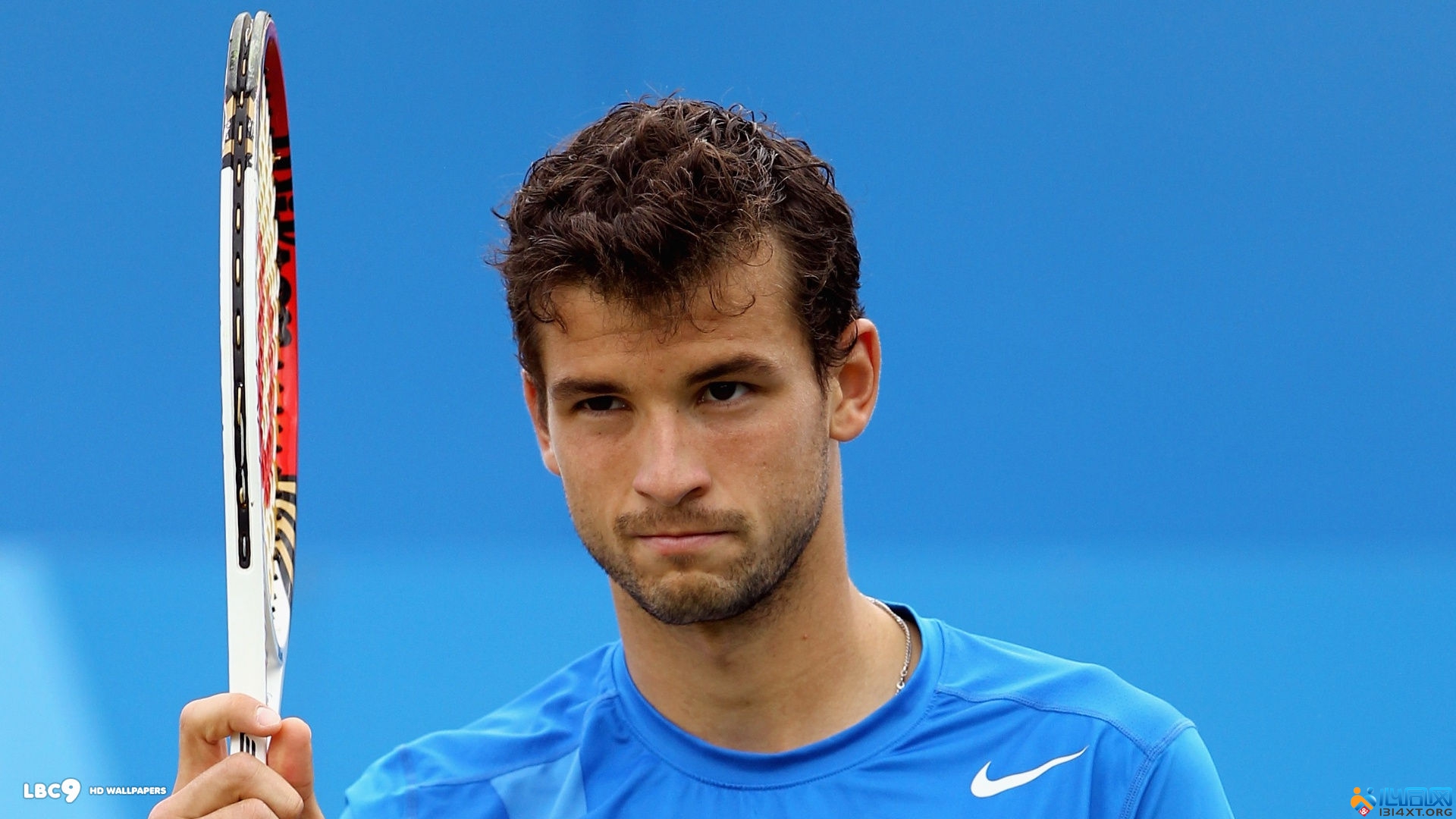 各种体育赛 各种体育赛